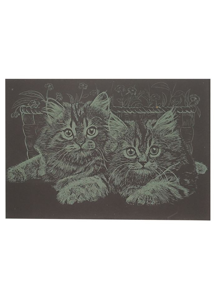 Гравюра А5 "Котики" ГрА5з-3 эконом вариант в пакете 21 х 14,8 см Danko Toys (366973665)