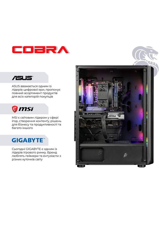 Компьютер Advanced (A87F.64.H2S5.97.23020W) Cobra (368902003)