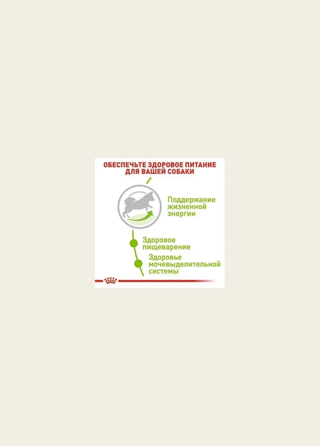 X-Small Adult 8+ (Роял Канин Икс-Смол Эдалт 8+) сухой корм для миниатюрных собак до 4 кг от 8 лет 3 кг. Royal Canin (319158781)