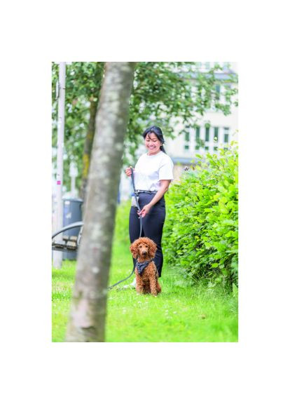 Шлей для собак CityStyle H-harness Хлопок M–L 52–75 см 20 мм Черный (4053032682634) Trixie CityStyle H-harness Бавовна M–L 52–75 см 20 мм Чор (366699466)