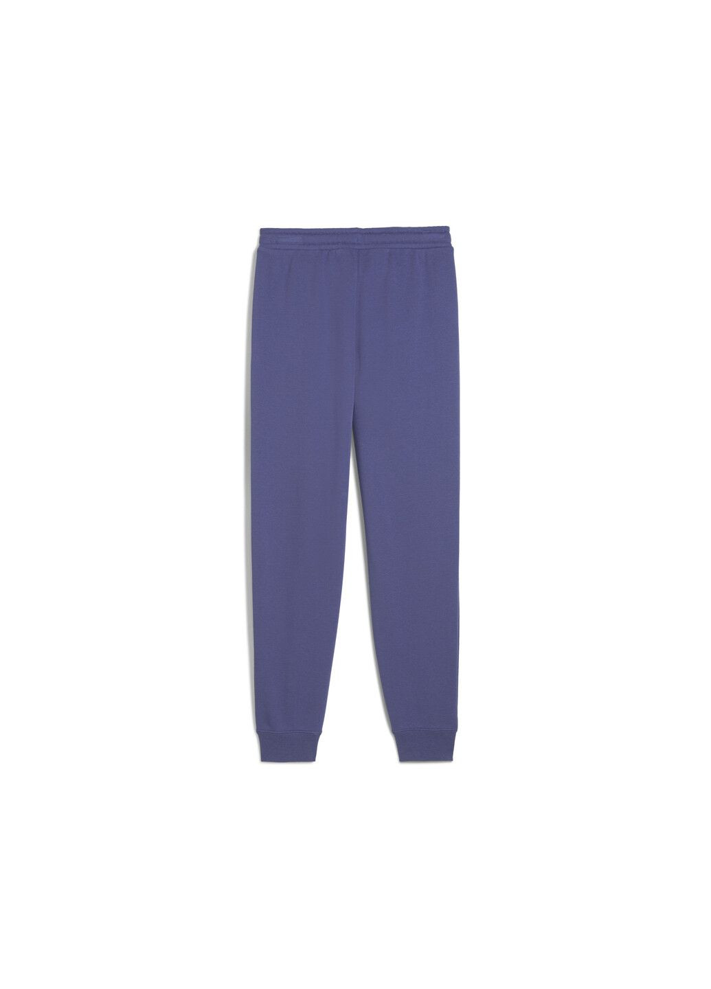 Дитячі штани Class Sweatpants Youth Puma (317249329)