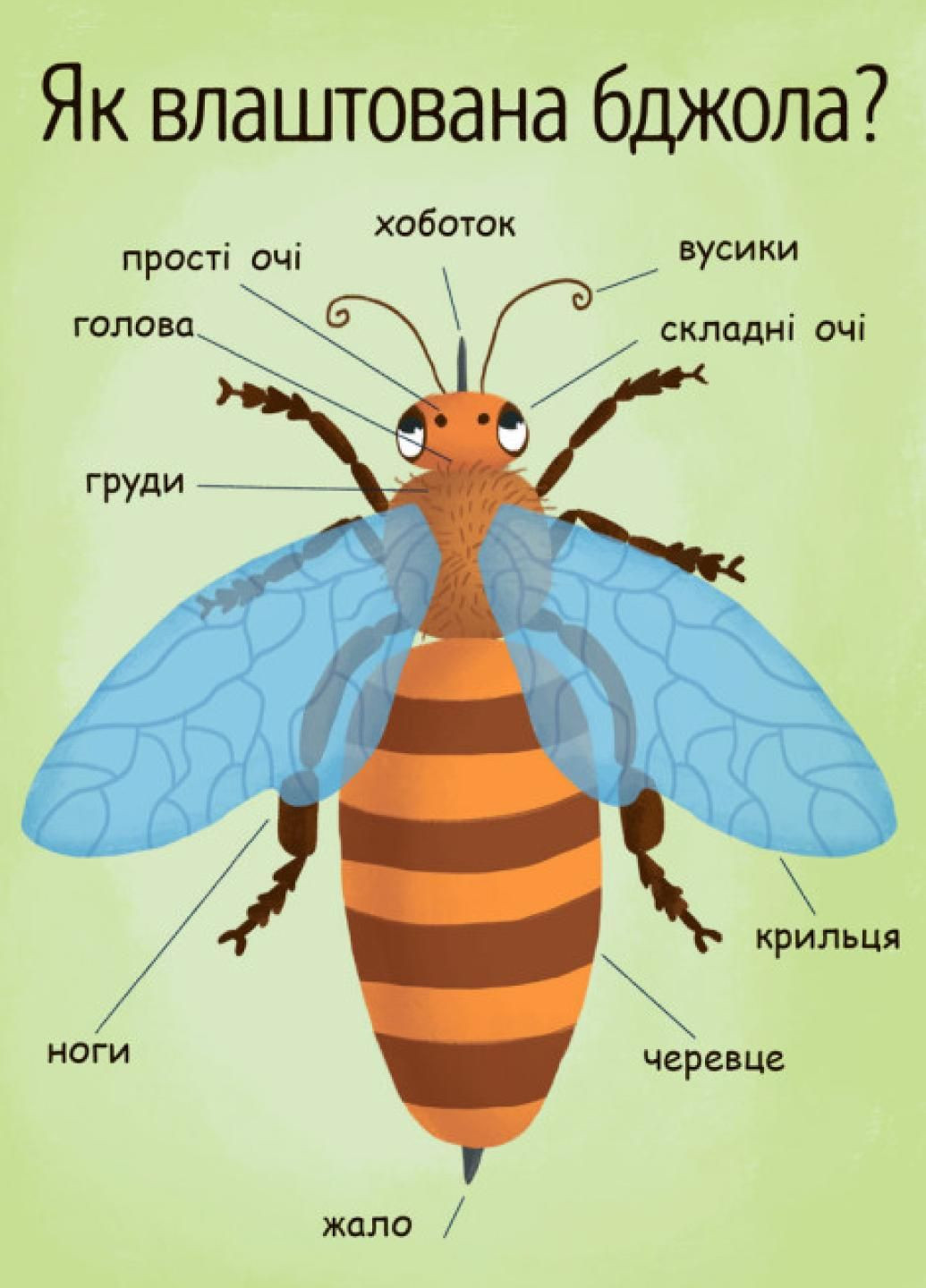 Моя перша енциклопедія : Як утворюється мед? Автор Конопленко І., Л807006У 9789667488314 РАНОК (289718724)