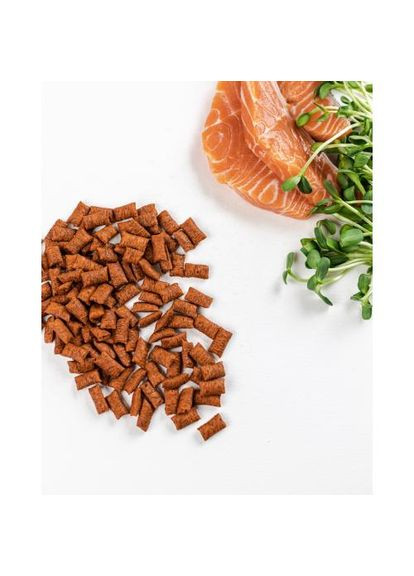 Хрумкі ласощі Snack Подушечки для вибагливих котів, з лососем, 60 г Savory (335005453)