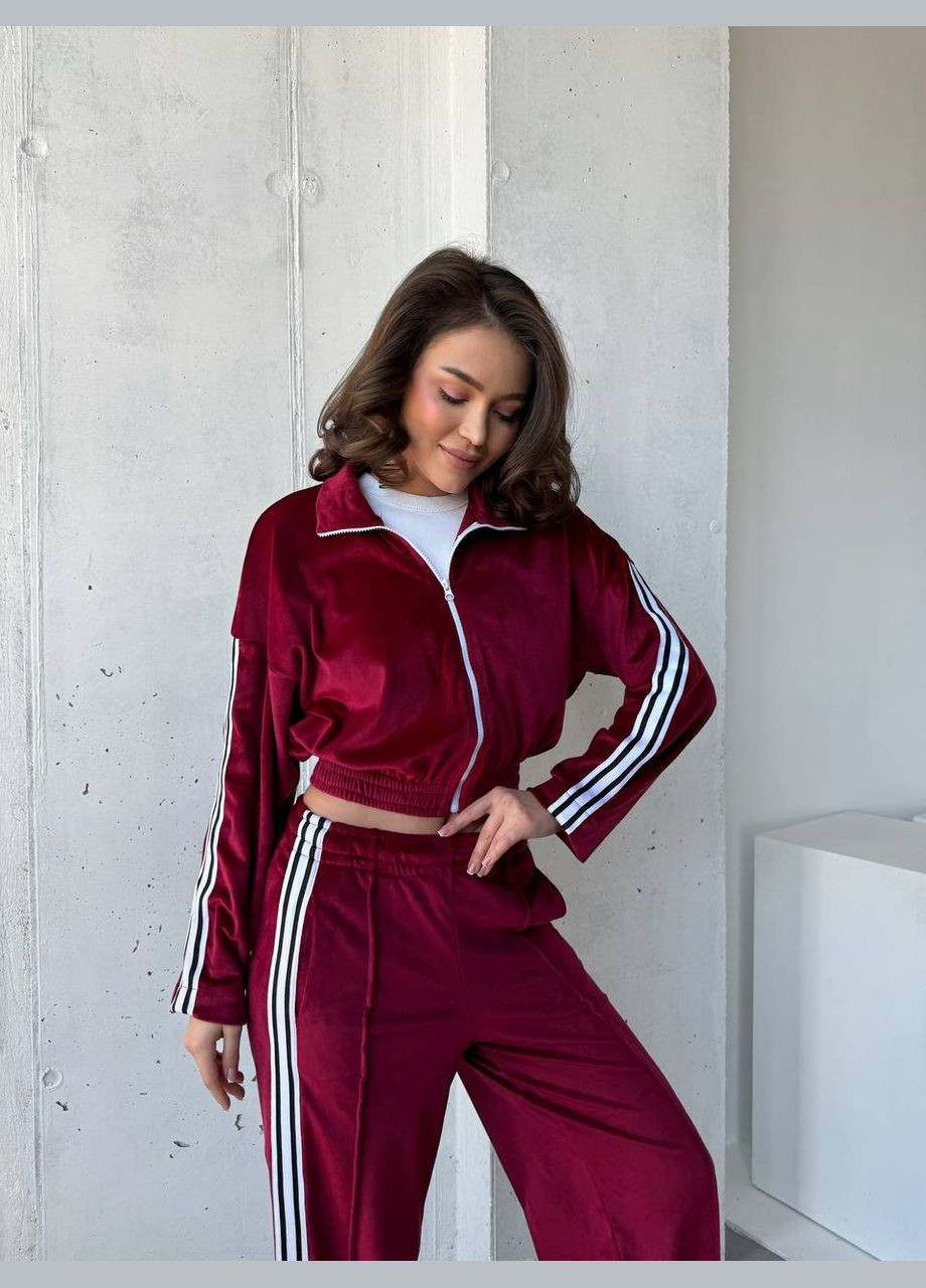 Жіночий велюровий костюм зі смужками Avanti (317295134)