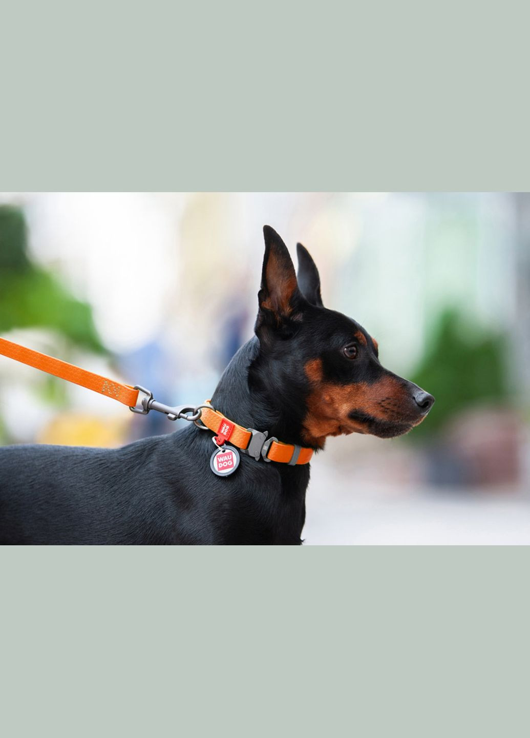 Нашийник для собак водостійкий Waterproof Металева пряжка-фастекс Ш 25 мм Д 35-58 см Жовтогарячий WAUDOG (323168683)