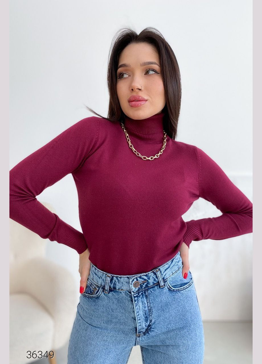 Водолазка з коміром з відворотом Liton (303727717)