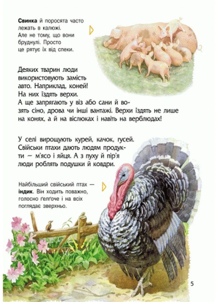 Детская энциклопедия о животных 614005 для дошкольников Ranok Creative (396309341)