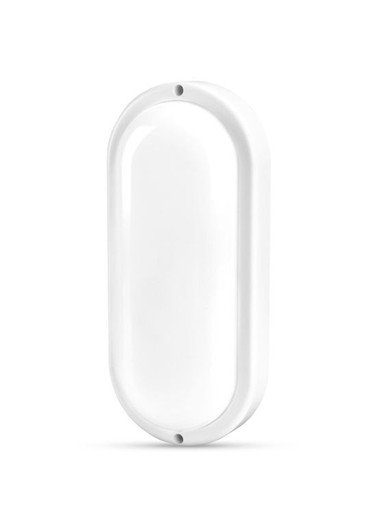 Защищенный светодиодный уличный светильник TLBHO-206 20W 6500K овальный Titanum (282313660)