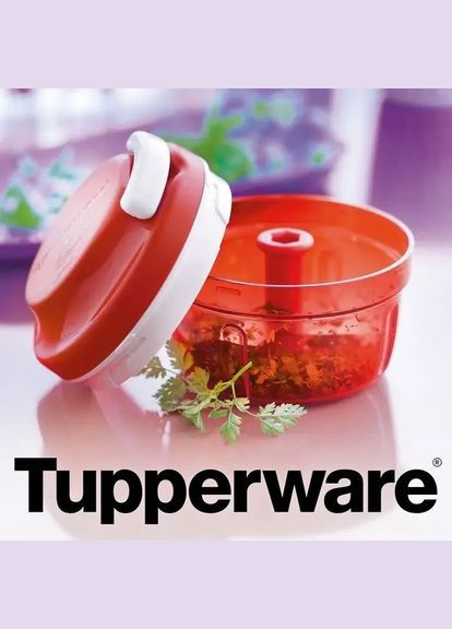 Подрібнювач Super Sonik компакт 300мл Tupperware (308252757)