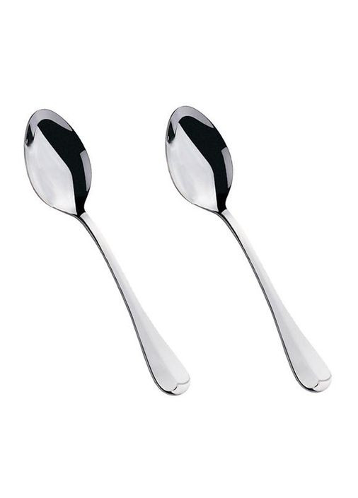 Набор десертных ложек Baget 12шт из нержавеющей стали для дома и кухни столовые ложки 18/10 Hisar (368989550)