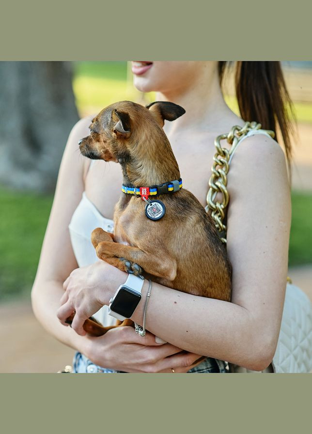 Нашийник для собак нейлоновий Nylon з QR паспортом, малюнок "Colors of freedom", пластиковий фастекс,, Ш 10 мм, Дов 20-30 см WAUDOG (325479166)