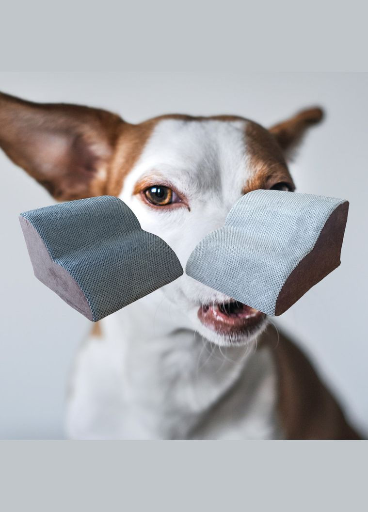 Пандус для собак купити Пандус для хатніх тварин Пандус для старих собак Пандус для цуценят Собачий пандус No Brand (339786384)