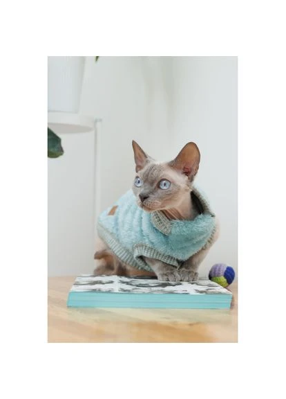 Светр Tim для кота, розмір (*) Pet Fashion (323153735)