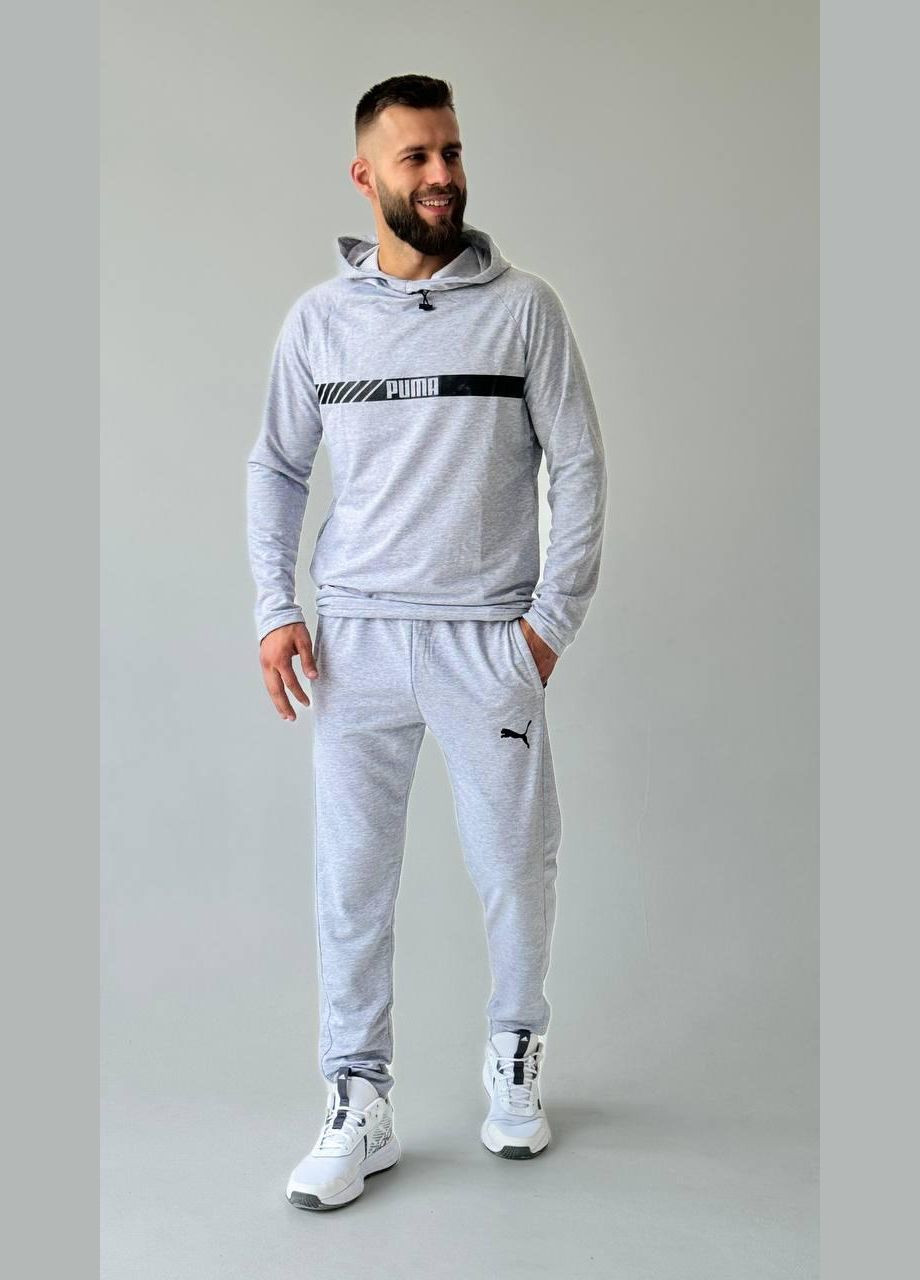 Чоловічий спортивний костюм Puma світло-сірий No Brand (353848852)