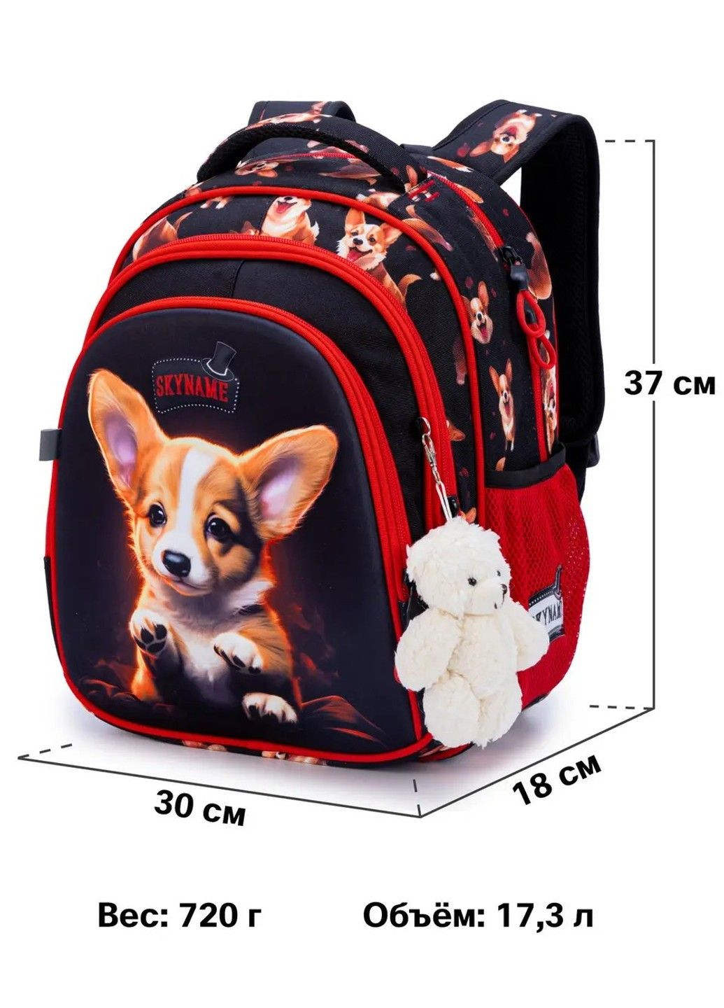 Рюкзак школьный для девочек /SkyName R2-213 Winner (331532385)