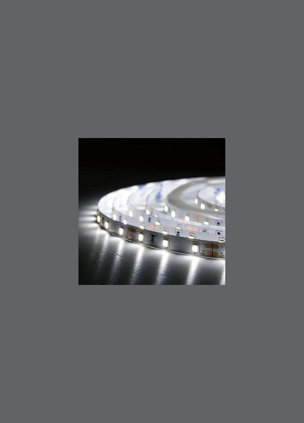 Світлодіодна стрічка Professional BPS-G3-12-2835-60-CW-20 білий, негерметична BIOM (365290346)