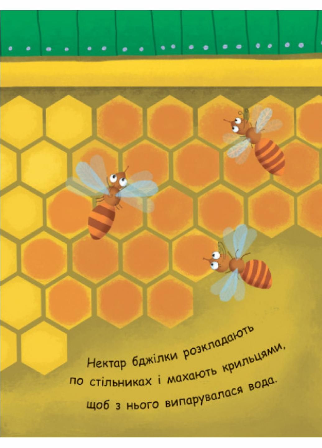 Моя первая энциклопедия: Как образуется мед? Автор Конопленко И., Л807006У 9789667488314 РАНОК (289718724)