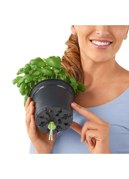 Розумний вазон Cube Color 16 1,75 л сірий 13584 Lechuza (362264907)