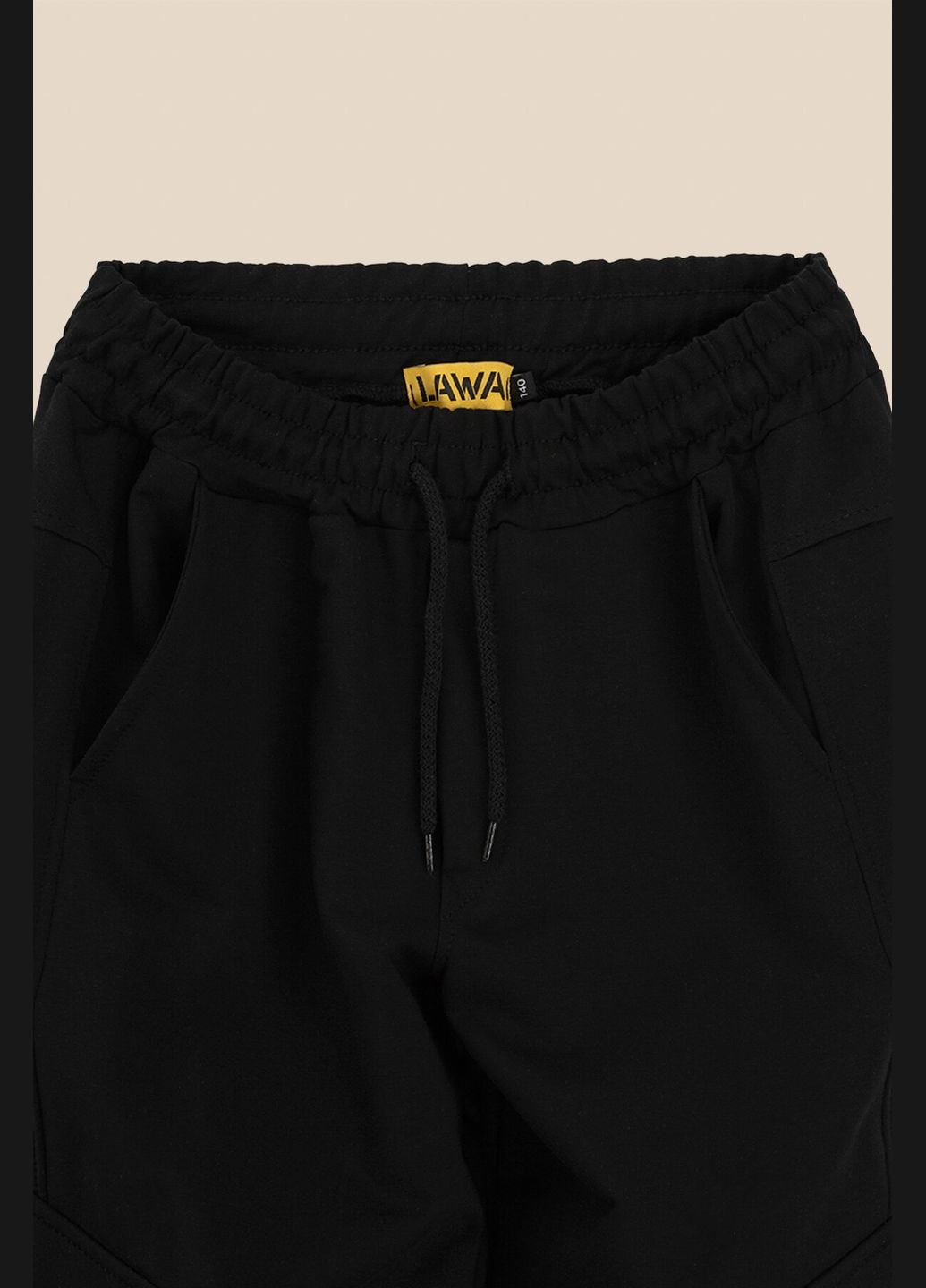 Черные спортивные демисезонные брюки LAWA