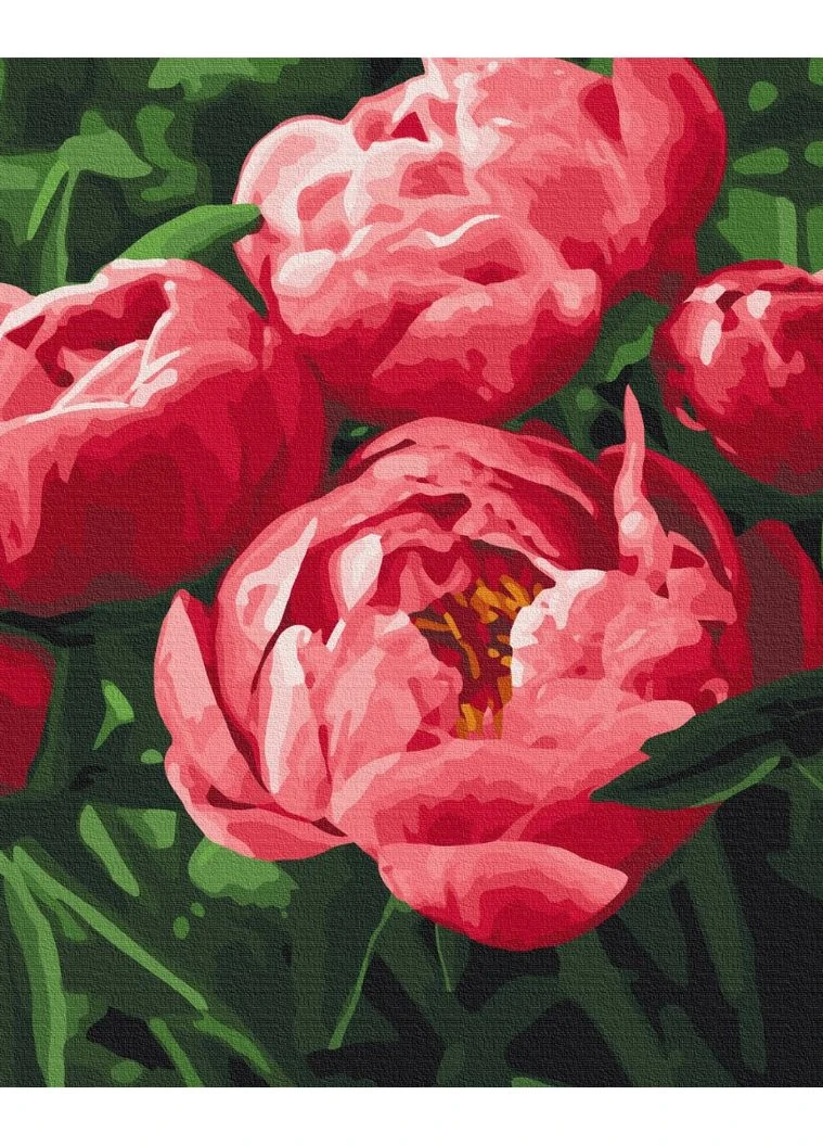 Картины по номерам "Насыщенный цвет пионов" раскраски по цифрам. 40*50 см. Украина Brushme (396385325)