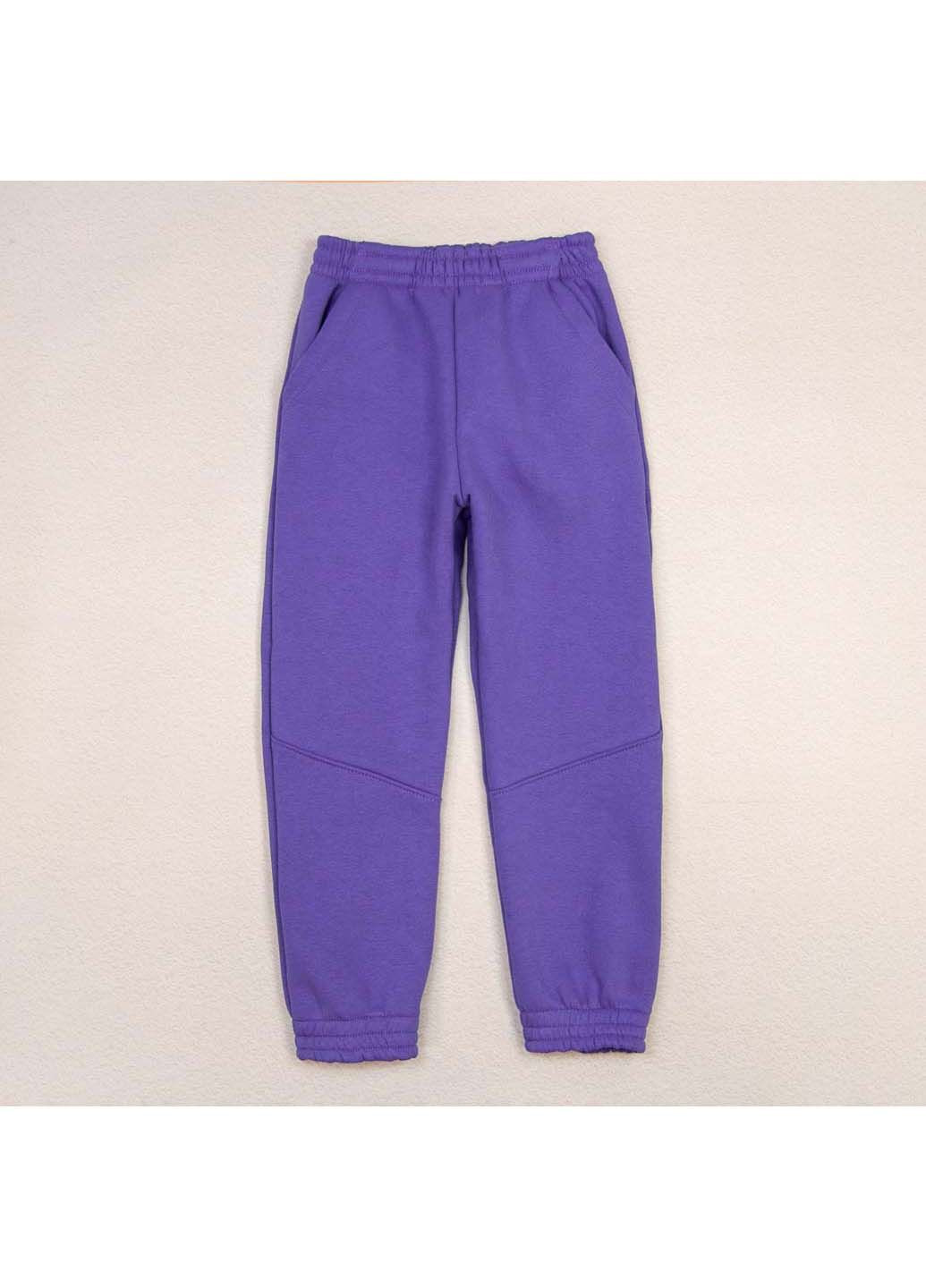 Фиолетовые демисезонные брюки dexter's