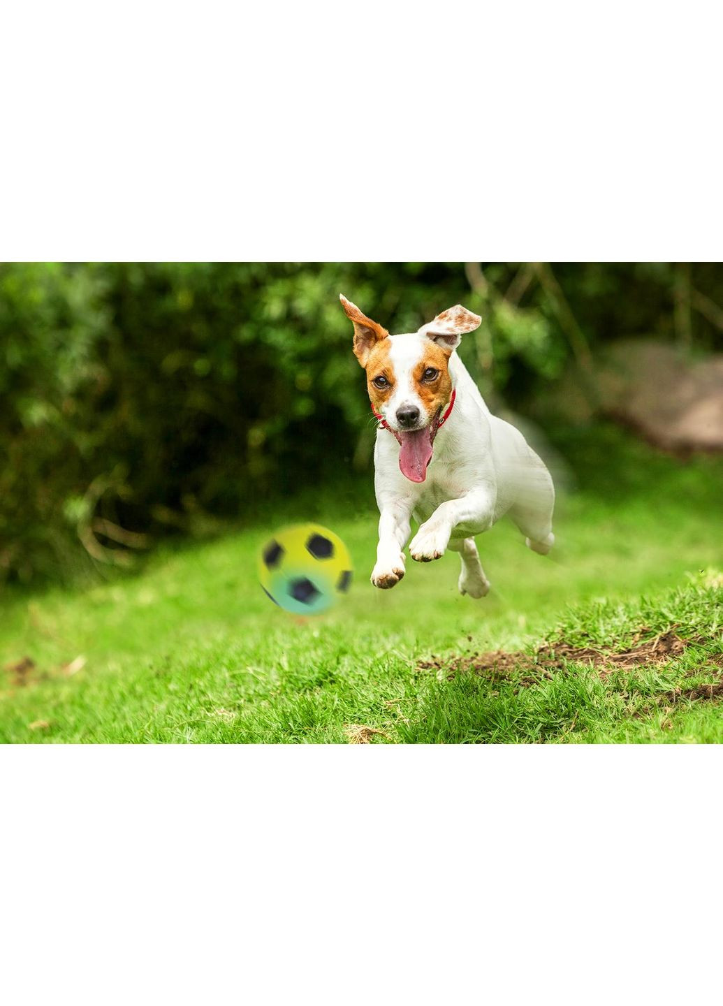 Іграшка для собак М'яч футбольний неоновий Ø5,7см Happet (353687403)