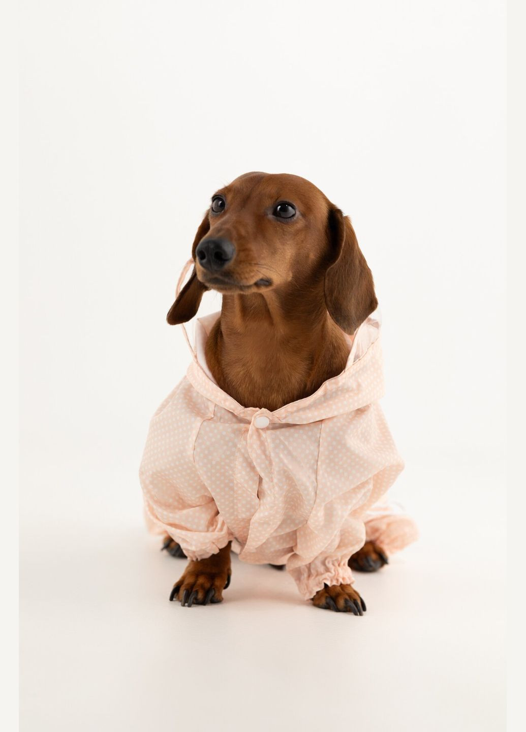 Комбинезон для животных KM52621 Розовый (2002014440528D) shop (2002014440528) KUMAOCHONGWUYONGPIN (363829761)