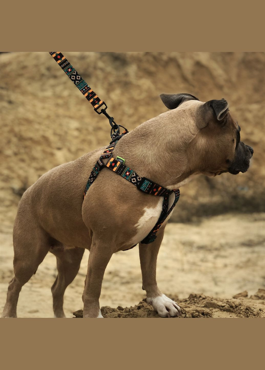 Шлея охват грудной клетки 50-81 см ширина 25 мм Boha green (2100102442017) Hi Dog (320760857)