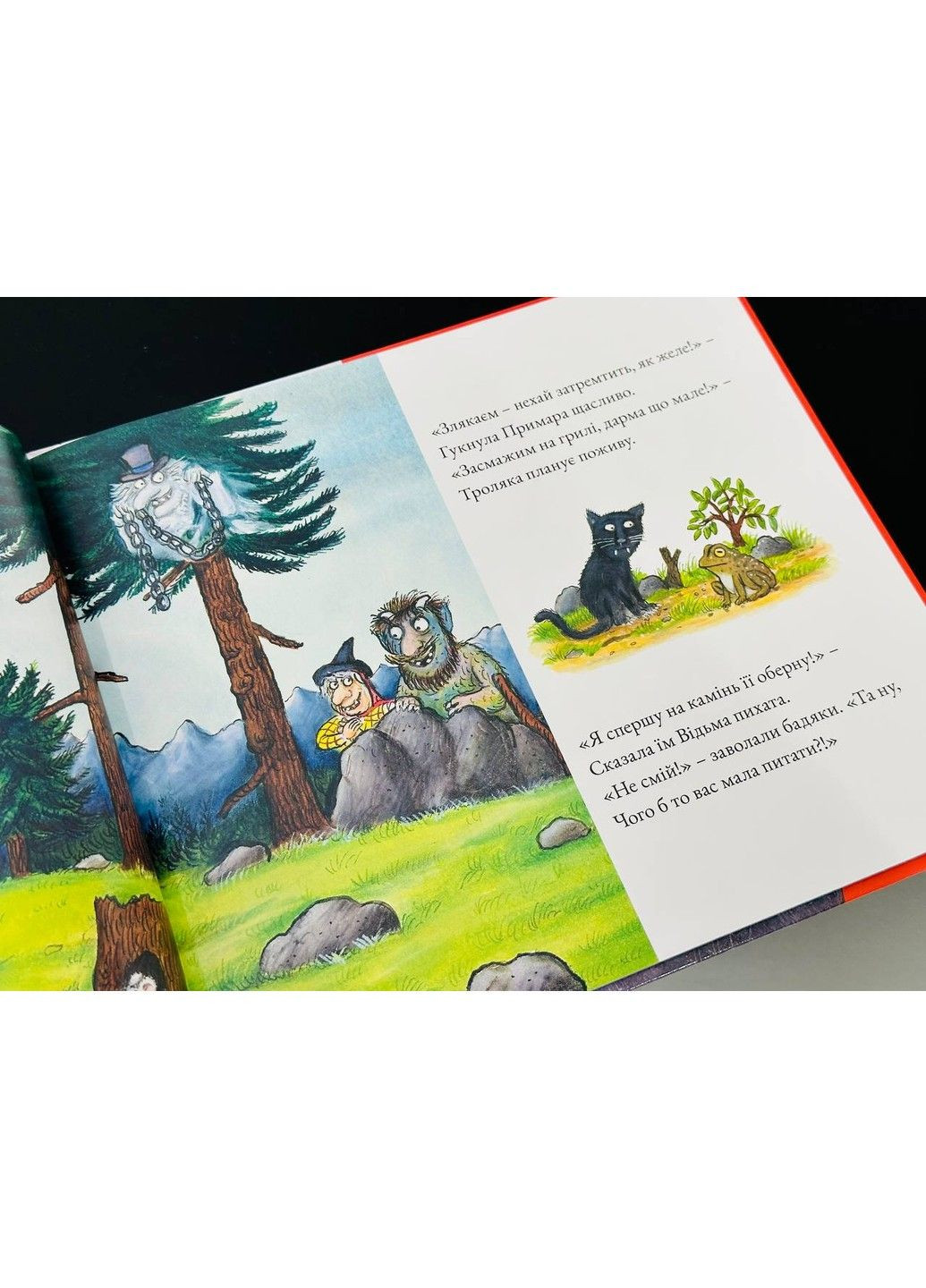 Книга Бадяки Джулия Дональдсон Читариум (297214341)