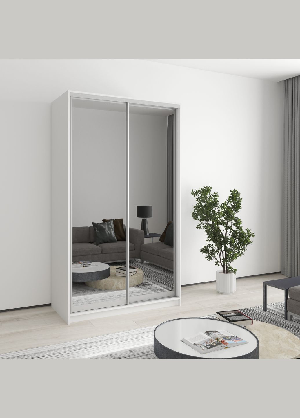 Шкаф-купе двухдверный Стандарт AL 2 Зеркала 120x60x210 см (MBS-2515) MebelStar (362373871)