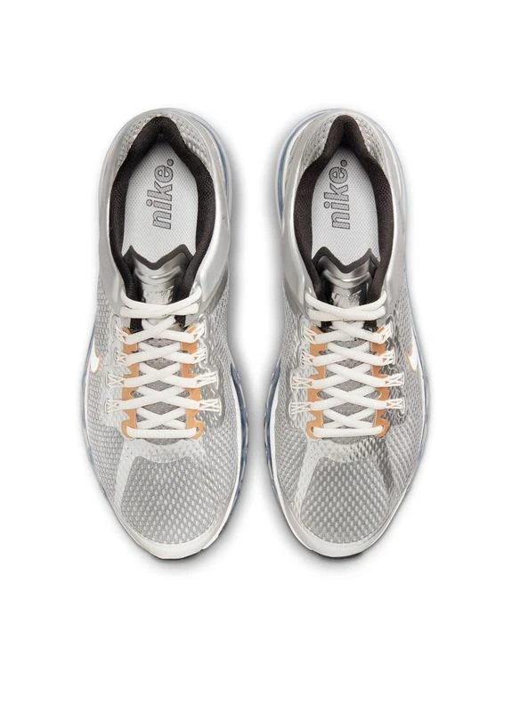 Срібні кросівки air max 2013 metallic hj7901-095 демісезон Nike