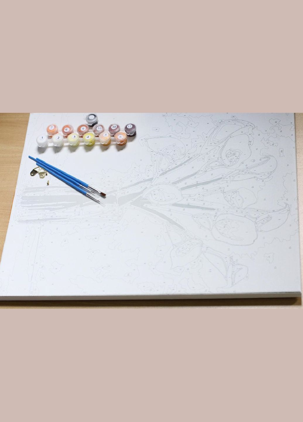 Картини за номерами Обійми Всесвіту BS54018 ТМ Брашмі Brushme (334727278)