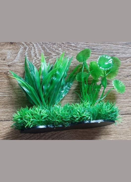 Растение пластиковое водоросли М601М682 14-16 см зелёное1 Aquatic Plants (278309909)