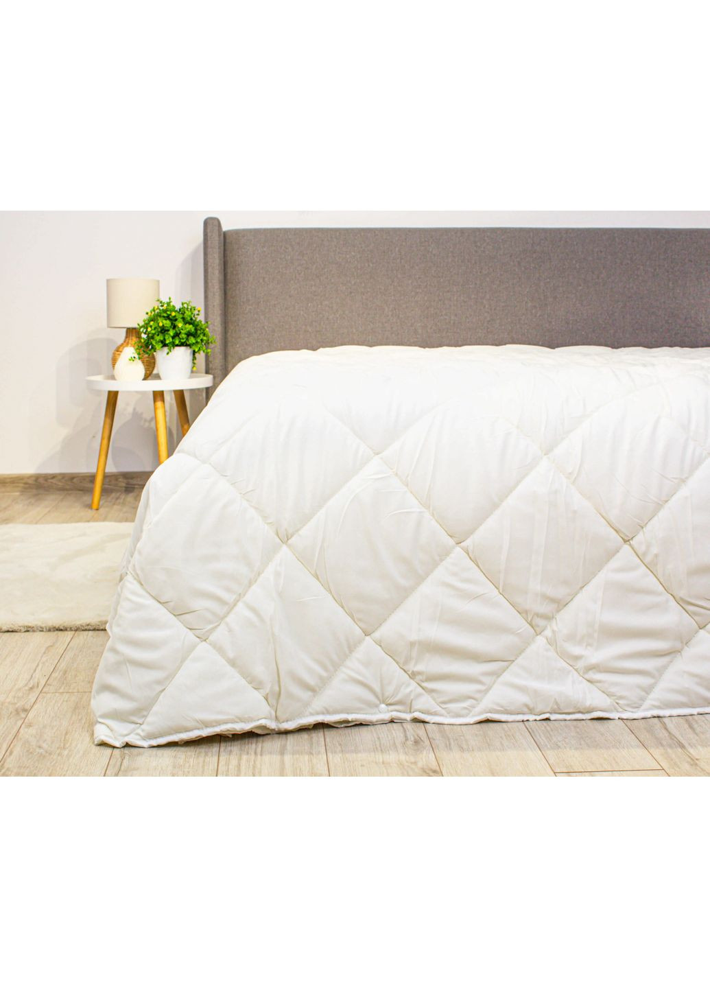 Ковдра FRIENDLY FOUR SEASONS, 200x210 ТЕП (363133428)