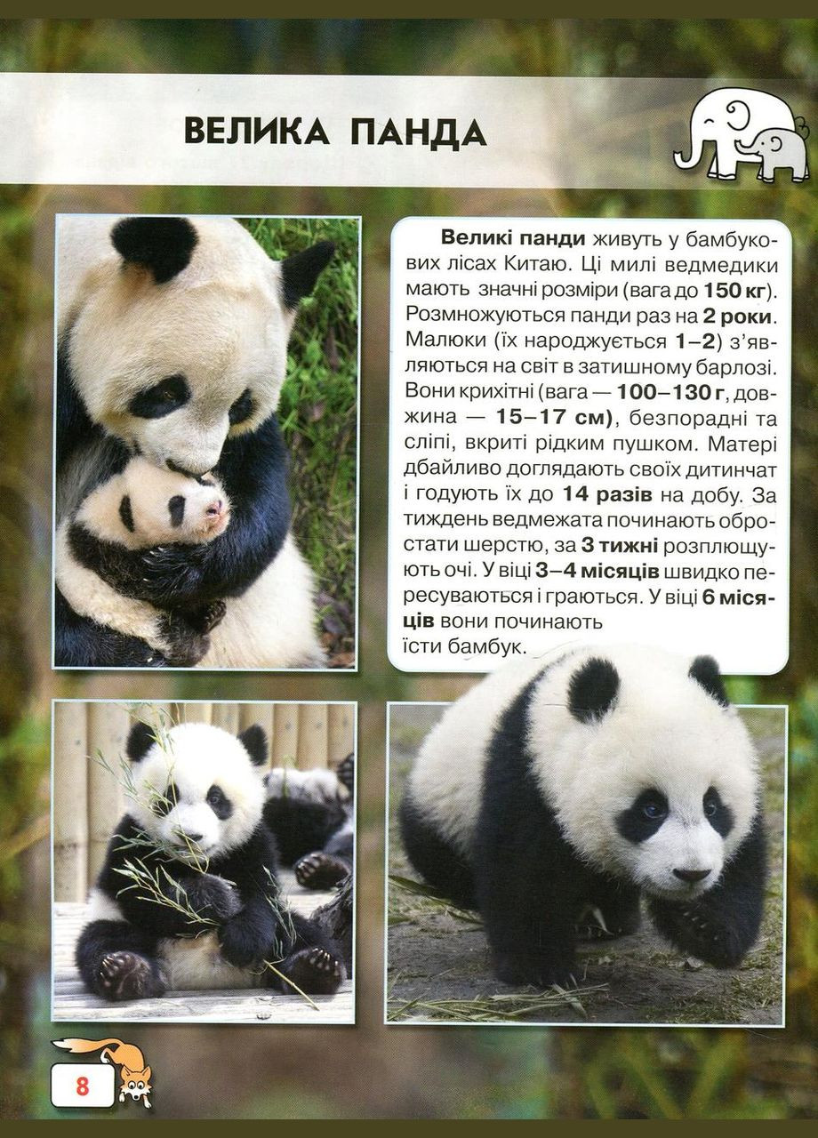 Мир вокруг нас. Малыши животных Кристал Бук (327879027)