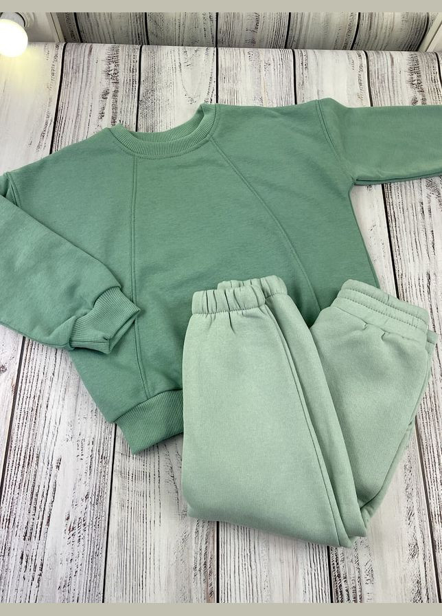 Світшот дитячий Фламинго (305391630)