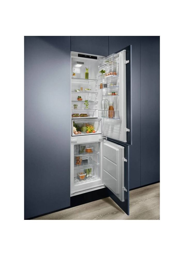Вбудований холодильник RNT6TE19S0 Electrolux (326519434)