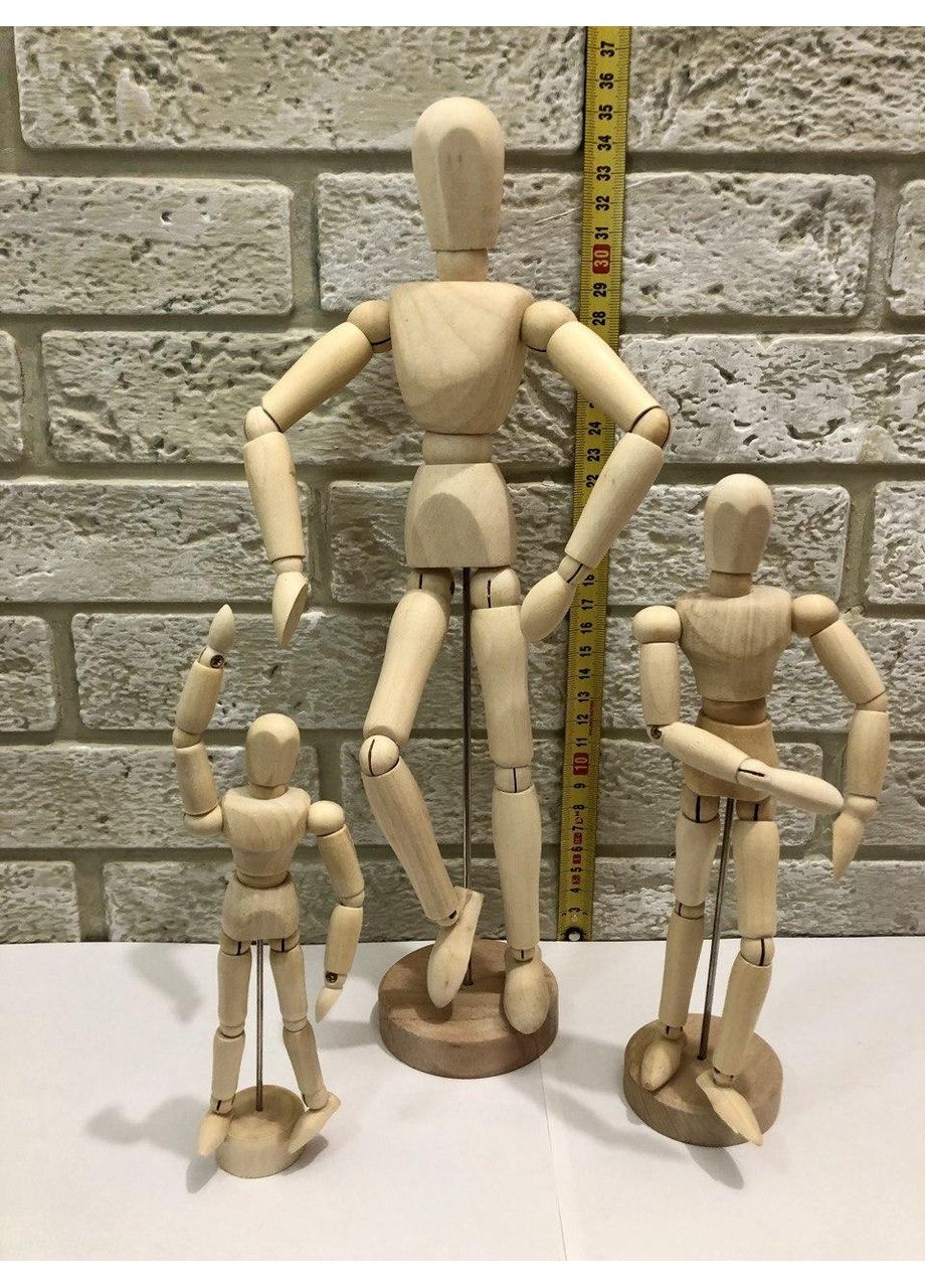 Деревянная модель человека 14 см No Brand (295012626)