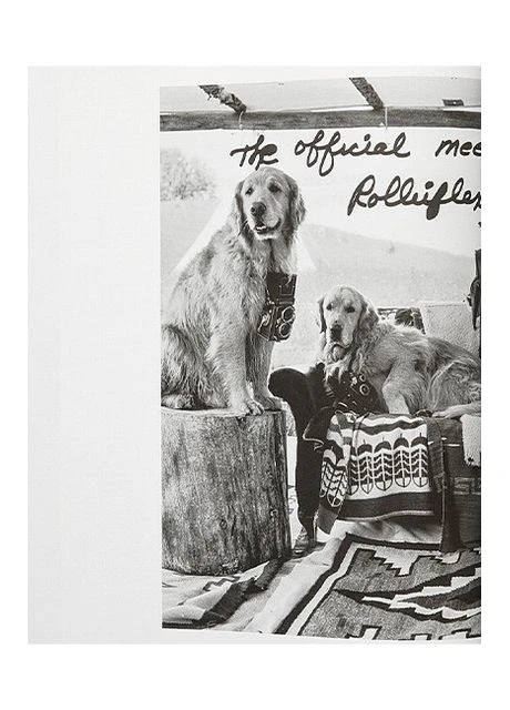 Bruce Weber. The Golden Retriever Photographic Society. Art Edition No. 101–200 ‘Hud, New York City, 2011’ Taschen (392245403)