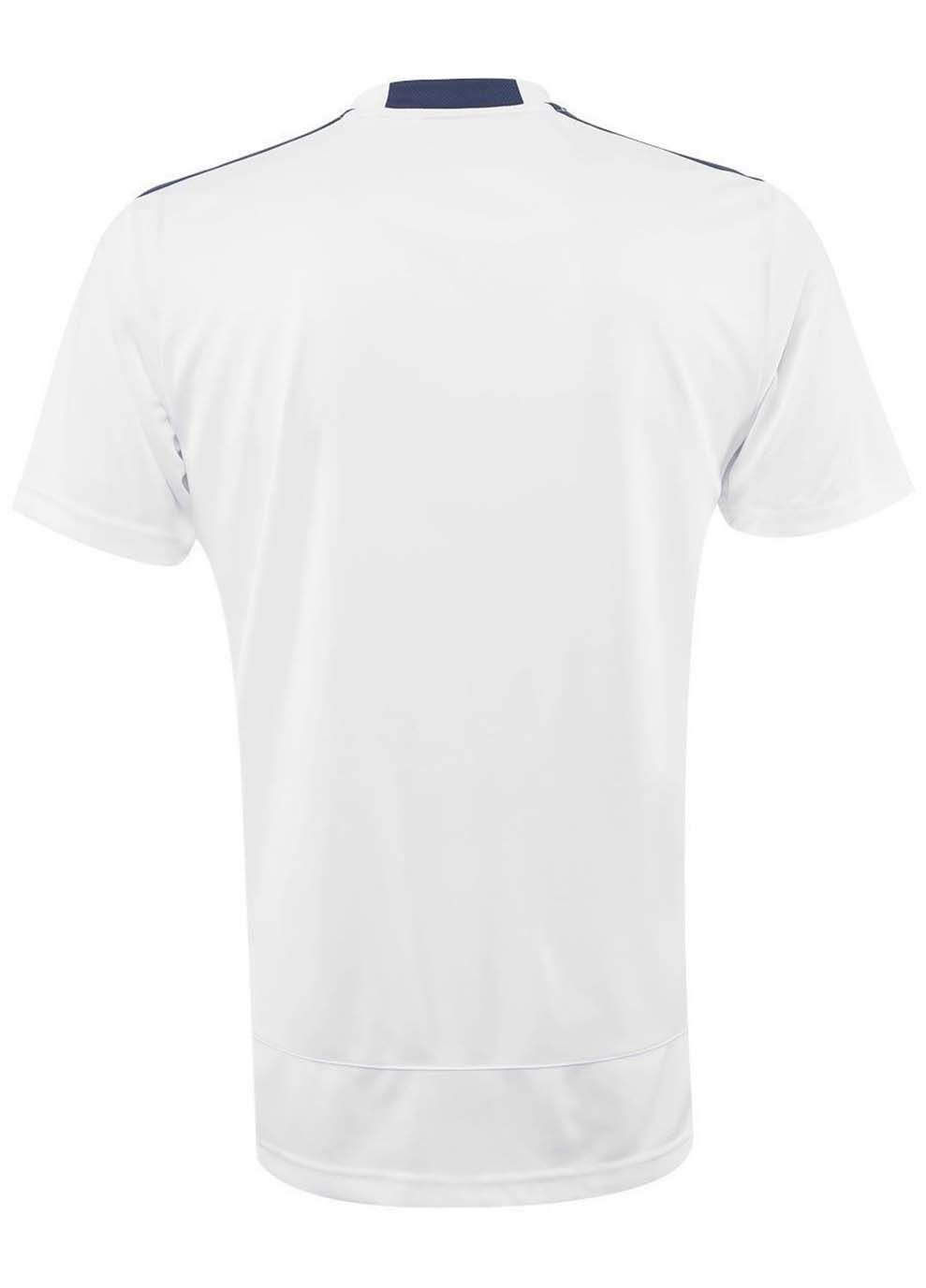 Комбінована футболка чоловіча hex rect tee білий/синій Mizuno