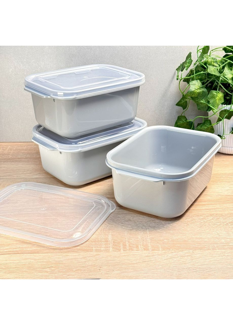 Набір прямокутних контейнерів Easy Keep 3 шт (3×2000 мл) 31263 Dunya (370673900)