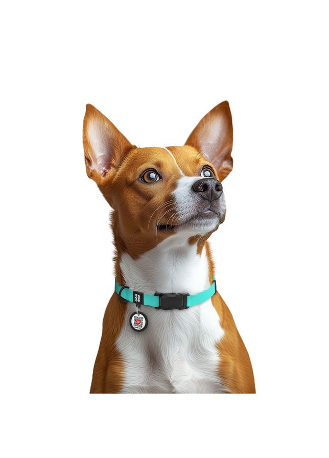 Ошейник для собак водостойкий Magnet, магнитная пряжка-фастекс,, Ш 15 мм, Дл 26-35 см, тиффани WAUDOG (331693693)