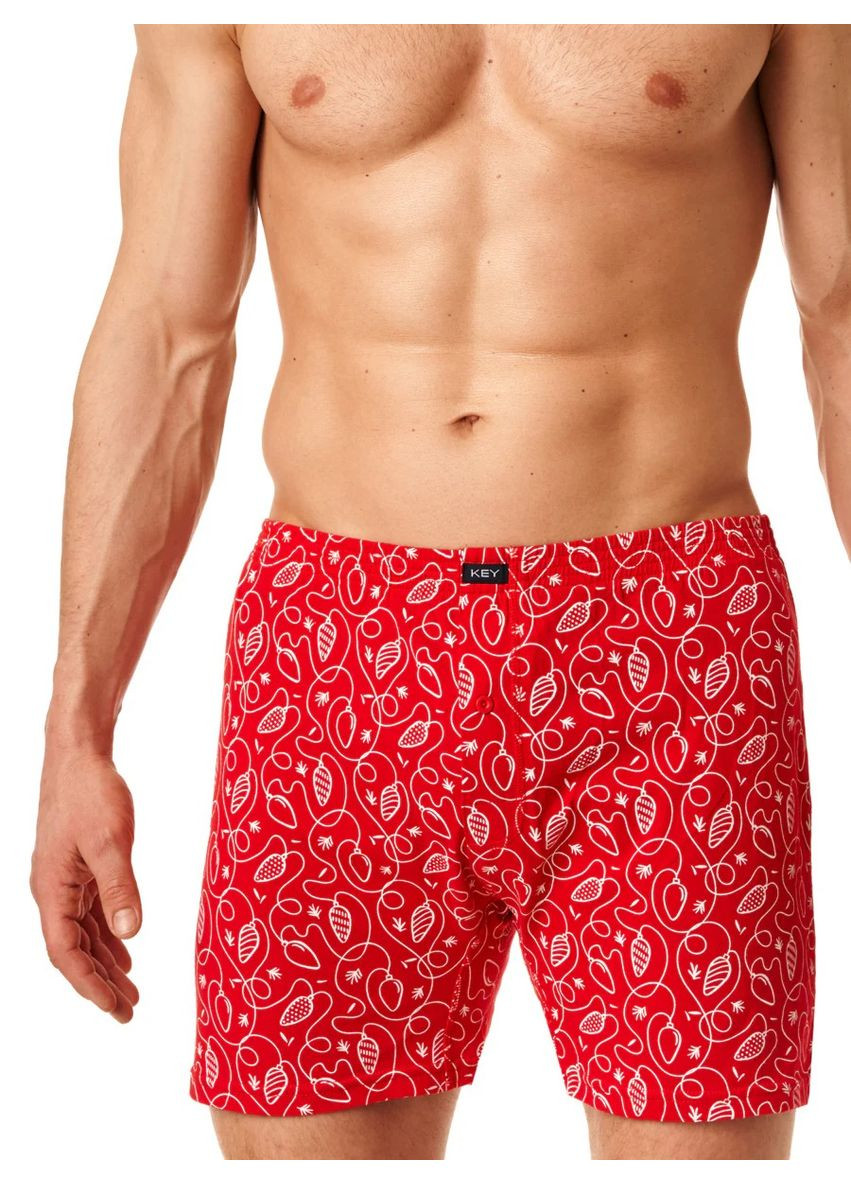 Чоловічі сімейні труси Key (301662201)