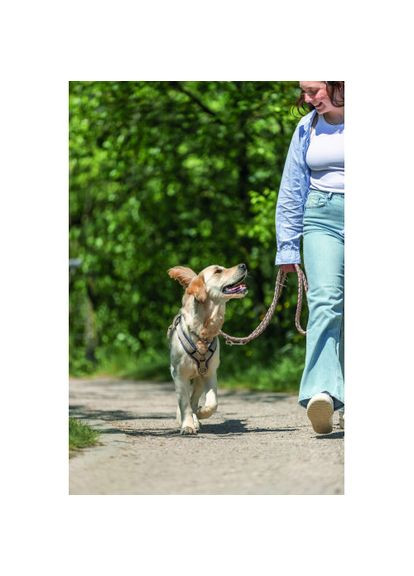 Поводок Cavo регулируемый L–XL 2 м d 18 мм /песочный Trixie (331108837)