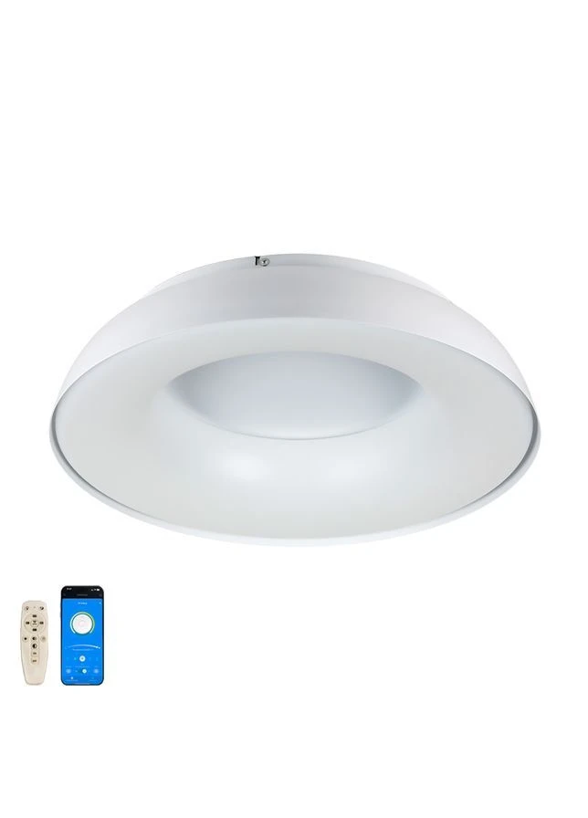 Люстра стельова LED 58 см з пультом керування Білий (22972) No Brand (397103430)