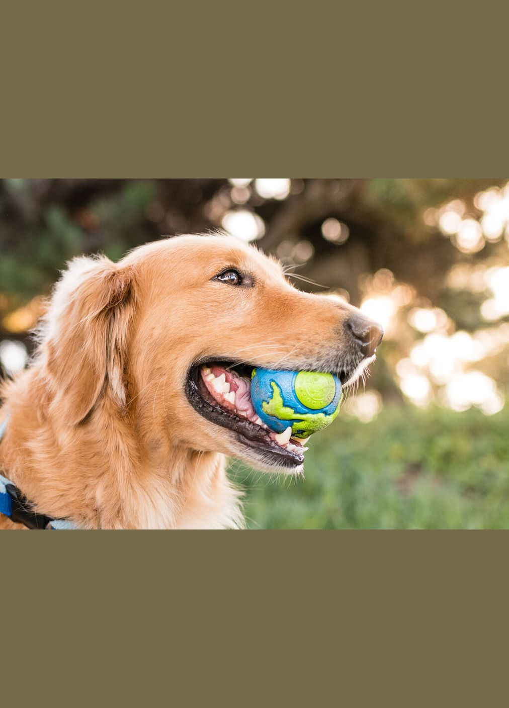 Игрушка для собак Planet Dog Orbee Ball 10 см (pd68667) Outward Hound (315517647)