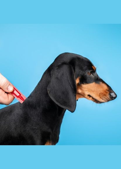 Краплі Profiline для собак 10-20 кг, 1 піпетка 2,0 мл (інсектоакарицид) (*) ProVET (322592732)