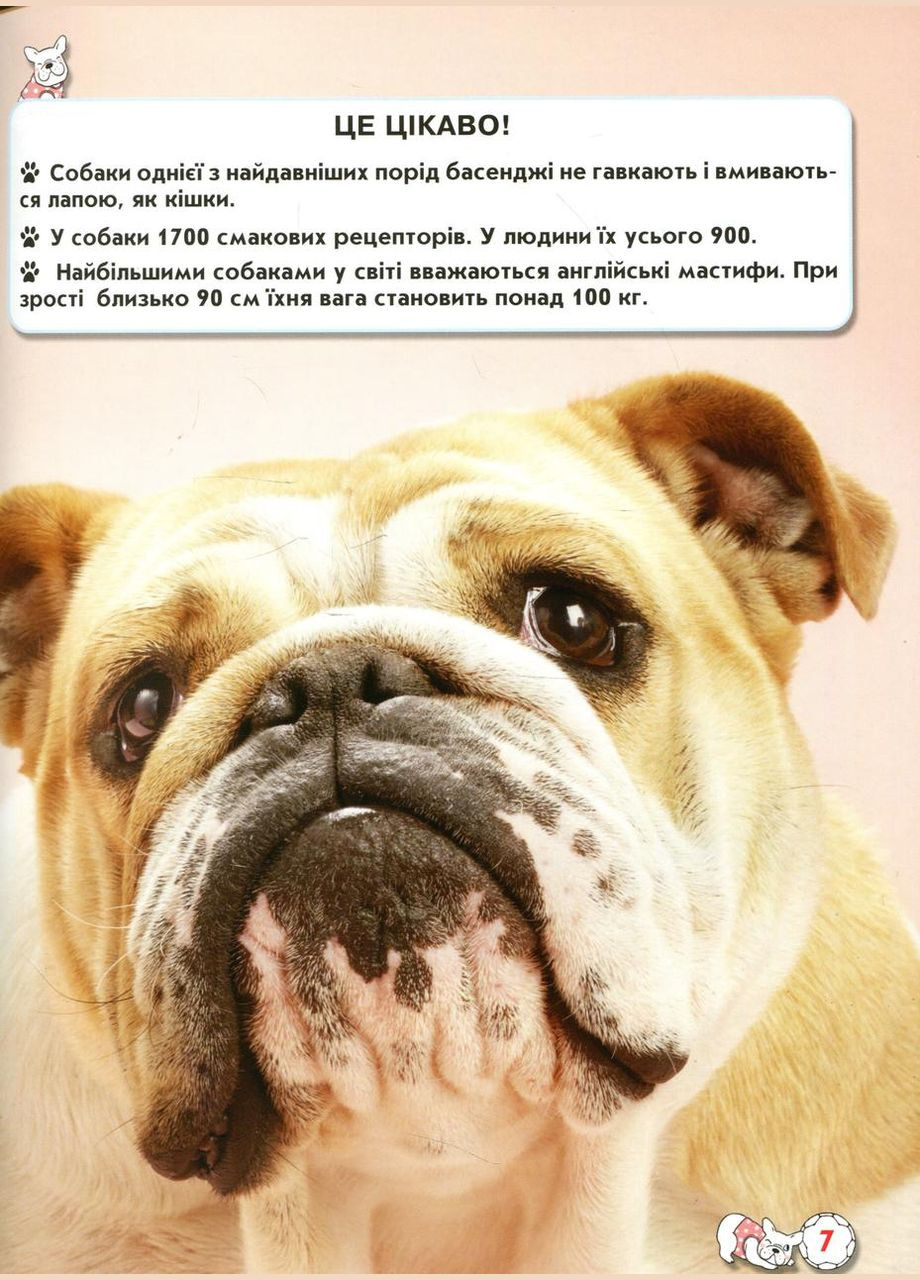 Мир вокруг нас. Собаки Кристал Бук (316081067)