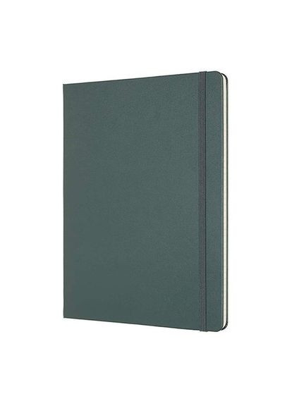 Записная книжка PRO большой зеленая PROPFNTB4HK19 Moleskine (317304615)