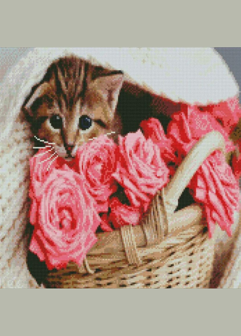 Алмазная картина по номерам Котик в корзине 50х50 см GA0012 ( ) Strateg (328945920)